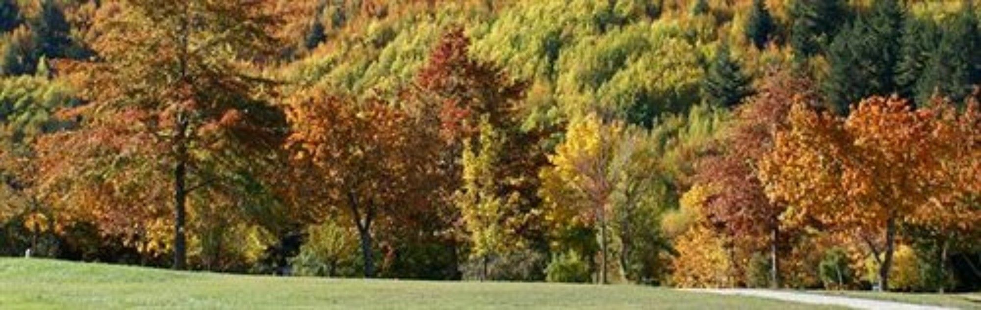 Hampshire Holiday Parks - Arrowtown Luaran gambar